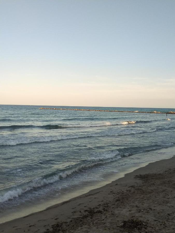 Delmar Daire El Campello Dış mekan fotoğraf